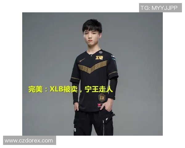 王者荣耀战术解析：IG战队如何构建高效控制体系与团队协作